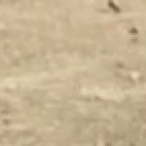 Meet your Posher, Candice